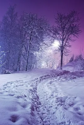 Зимний новогодний пейзаж - красивые фото