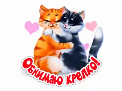 Обнимашки