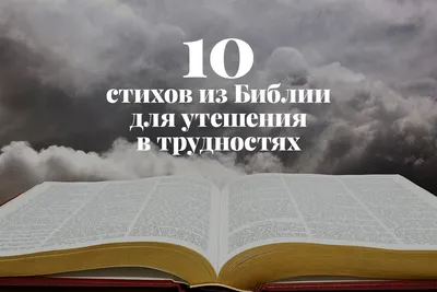 Я в детском саду работала, мне уже ничего не страшно» Все восхищаются  белорусскими женщинами: они отважно протестуют, дают отпор милиции и  записывают ободряющие тиктоки — Meduza