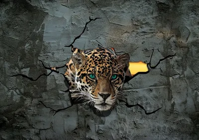 Фото обои животные леопард 254x184 см 3Д Ягуар за цементной стеной  (2771P4)+клей купить по цене 850,00 грн
