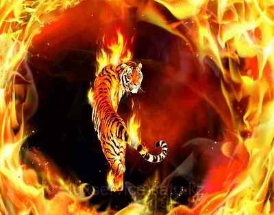 Обои животные (тигр в огне) (id 108234667), купить в Казахстане, цена на  Satu.kz