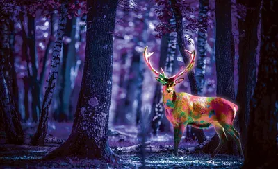 Фото обои животные 368x254 см Животные Флуоресцентный олень в лесу  (3444P8)+клей (ID#1754673401), цена: 1200 ₴, купить на Prom.ua