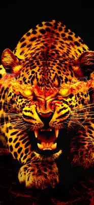 Обои Ягуар животное, Ягуар, Леопард, тигр, кошачьих для iPhone X / XS  бесплатно, заставка 1125x2436 - скачать картинки и фото
