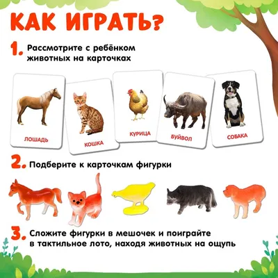 Развивающий набор фигурок для детей «Домашние животные» с карточками, по  методике Домана купить в Чите Игрушки в интернет-магазине Чита.дети  (4474173)