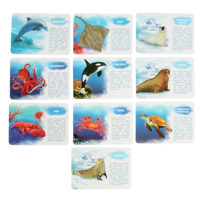 Набор фигурок животных для детей с обучающими карточками «Подводный мир»,  карточки, по методике Монтессори (2519488) - Купить по цене от 169.00 руб.  | Интернет магазин SIMA-LAND.RU
