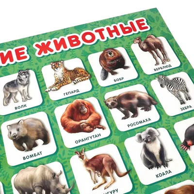 Обучающий пазл-вкладыш с рамкой \"Лесные животные\" (ID#1761741871), цена: 99  ₴, купить на Prom.ua