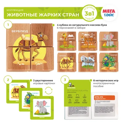 Обучающие плакаты Дрофа-Медиа Комплект из 8 плакатов для детей Живая  природа - купить с доставкой по выгодным ценам в интернет-магазине OZON  (273220805)