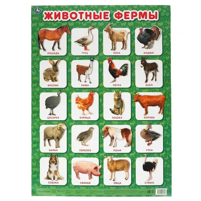 Плакат обучающий А2 \"Животные фермы\" купить в интернет магазине Растишка в  Тамбове