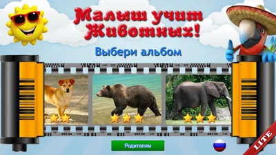 Учим названия животных - Карточки для детей \"Животные и птицы\" - YouTube