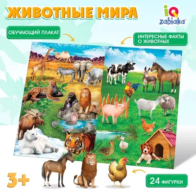 Животные для Малышей – скачать приложение для Android – Каталог RuStore