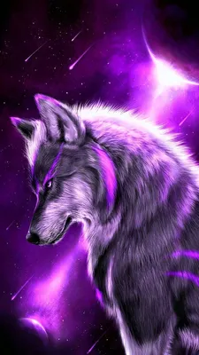 Фиолетовый волк - красивые фото