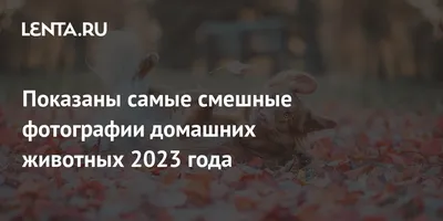 Прикольные картинки ❘ 24 фото от 22 марта 2023 | Екабу.ру - развлекательный  портал
