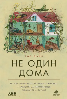 Секреты Кевина: 15 удивительных фактов о фильме «Один дома»