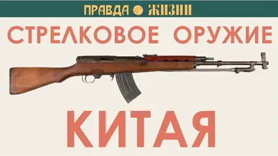 Что такое охолощенное оружие, отличие от боевого