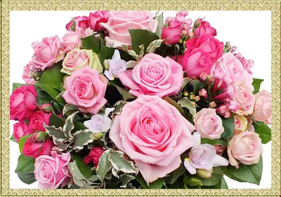 Купить Огромный букет роз 301 роза Запорожье | UFL
