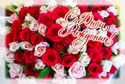 Большой букет роз женщине Оригинальный букет девушке Подарки на День Рождения  Букет цветов любимой маме (ID#1895269217), цена: 1350 ₴, купить на Prom.ua