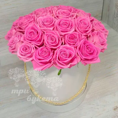 Открытка с красивыми розами на день рождения (25 лучших фото)