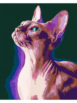 Кот породы сфинкс, окруженный …» — создано в Шедевруме