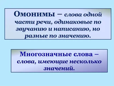 Омонимы в английском языке | Примеры омонимов