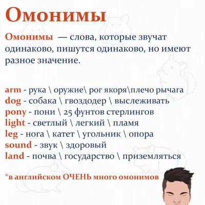Обучающий плакат А4 \"Синонимы, антонимы, омонимы, омофоны\" купить недорого  в Москве в интернет-магазине Maxi-Land