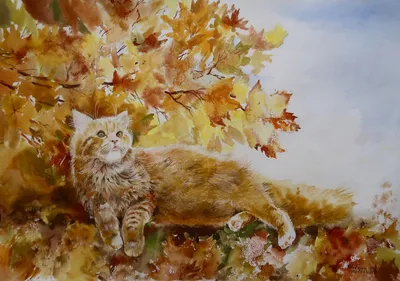 Обои кошка, листья, осень, питомец картинки на рабочий стол, фото скачать  бесплатно
