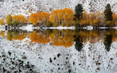 Осень. Первый снег. - фото автора tamanec на сайте Сергиев.ru