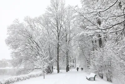 В северной части Волгоградской области выпал первый снег - OBLVESTI.RU