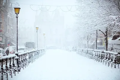 В Петербурге 25 октября выпал первый снег: фото