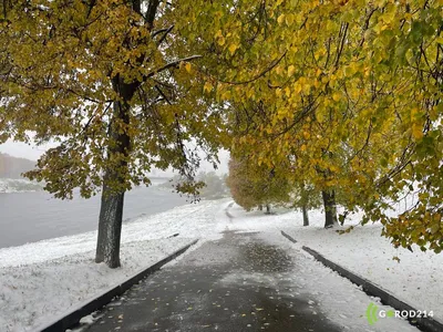 Синоптик рассказал, когда в Тюмени выпадет первый снег осенью 2023 года -  KP.RU