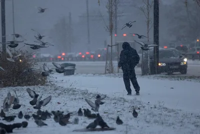 Первый снег выпал в Калуге 31 октября - Погода - Новости - Калужский  перекресток Калуга