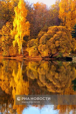 Осень в Москве: где самые красивые фото и виды - YouTube