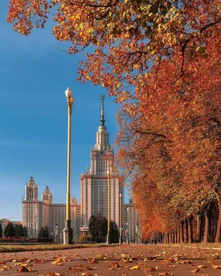 Московская осень ❤️ - Москва, я люблю тебя | Facebook