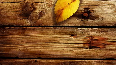 Обои на рабочий стол Осенние листья на деревянном фоне, обои для рабочего  стола, скачать обои, обои бесплатно
