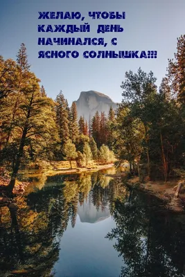 Чудесного осеннего дня #осень #день #хорошегодня #позитив #настроение |  TikTok