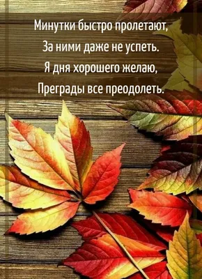 Шикарное пожелание Доброго, Осеннего Дня! Красивая песня \"Осень\" в  исполнении автора Фёдора Хлыбор! - YouTube