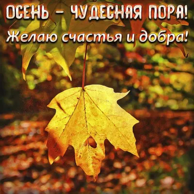 Осенняя открытка с пожеланием | Доброе утро, Взбитый кофе, Осень