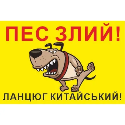 Табличка «Осторожно! Злая собака» по цене 158 ₽/шт. купить в Рязани в  интернет-магазине Леруа Мерлен