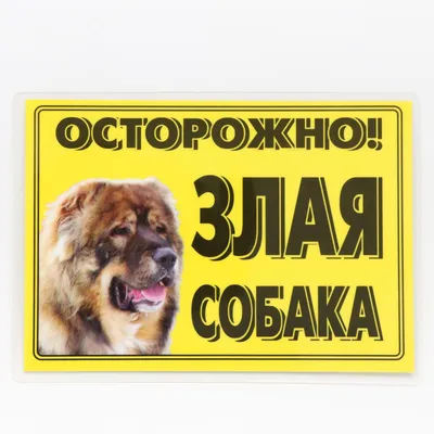 Табличка Осторожно злая собака 13х20 см (код 90703.1) | Компания FoxPrint