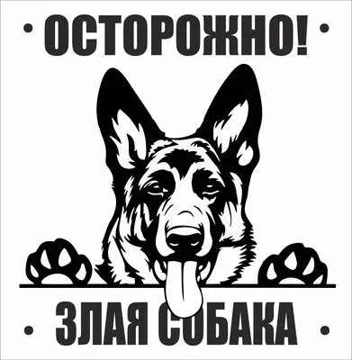 Купить табличку «Осторожно, злая собака!» за ✓ 65 руб.