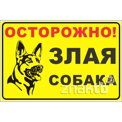 Табличка информационная Прикольная Осторожно! Злая собака 20х15 см, 20 см,  15 см - купить в интернет-магазине OZON по выгодной цене (915073341)