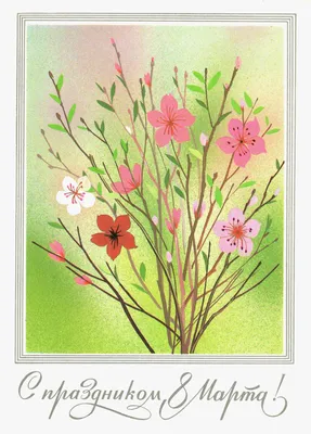 8 Марта — Букет тюльпанов с мимозой — Почтовая карточка 1983 года - Старая  открытка - открытки СССР