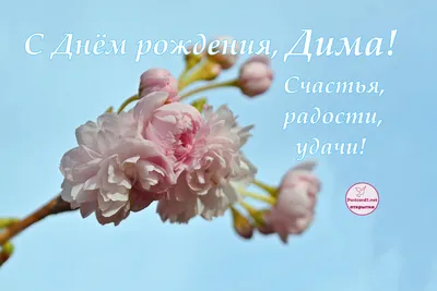Подарить открытку с днём рождения Дмитрию онлайн - С любовью, Mine-Chips.ru