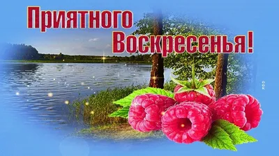 Картинка отличного воскресенья мужчине (39 фото) » Юмор, позитив и много  смешных картинок