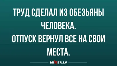 Фильм Последний отпуск (2006) описание, содержание, трейлеры и многое  другое о фильме