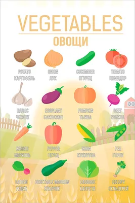 Овощи» на английском языке