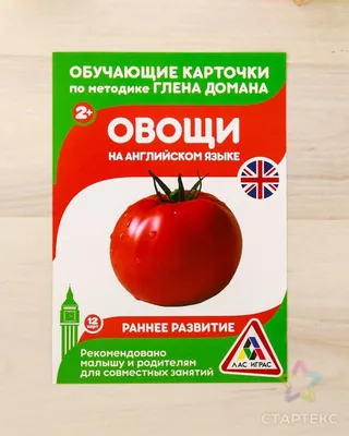 Раскраски Овощи на английском для детей (28 шт.) - скачать или распечатать  бесплатно #24933