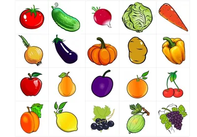 Овощи в картинках для детского сада фотографии