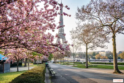 Париж Весной — стоковые фотографии и другие картинки Париж - Франция - Париж  - Франция, Весна, Франция - iStock