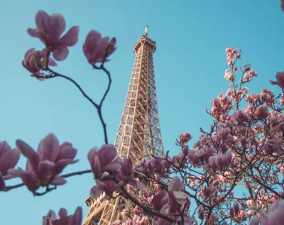 Фотообои Вид Парижа весной купить в Москве, Арт. 9-734 в интернет-магазине,  цены в Мастерфресок