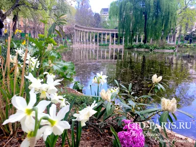 Только посмотри. - Париж весной особенно прекрасен. | Facebook